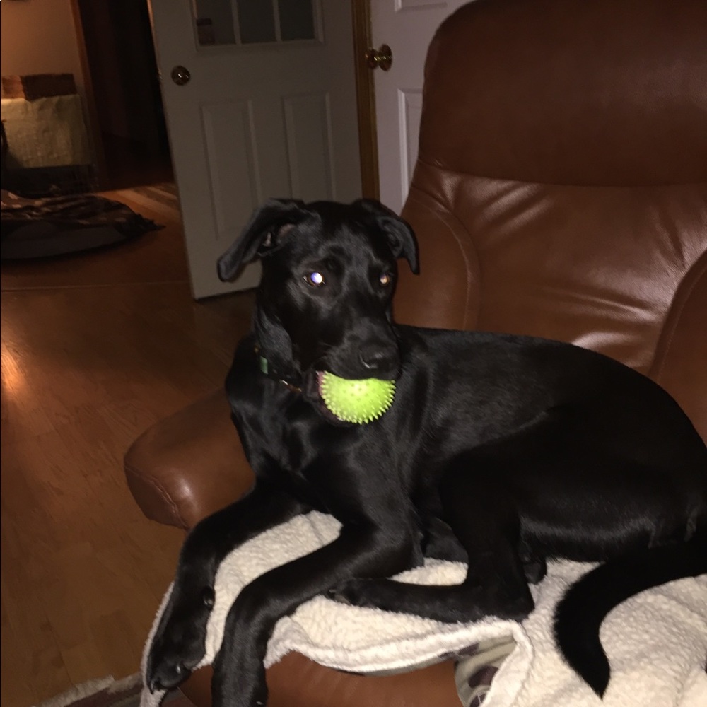 Meet your Posher, Cindie